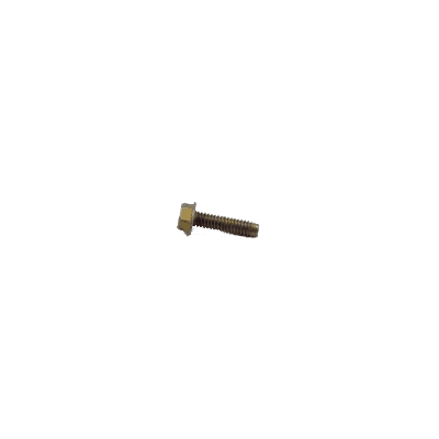Screw, Hx Hd, .25 X 1,Thrd Frming